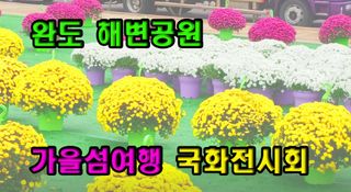 꿈꾸는텃밭님의 자유주제 · 자유게시판 작성글 사진