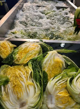 홍천산채농원님의 작성글 사진