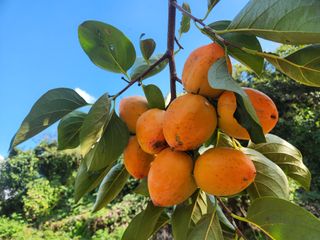 김재현님의 자유주제 · 칭찬해요 작성글 사진