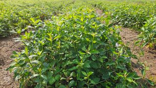 조병대님의 작성글 사진