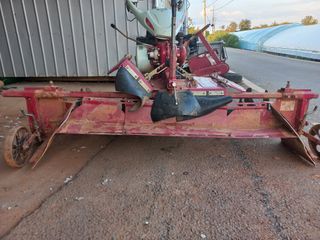 박린님의 자유주제 · 자유게시판 작성글 사진