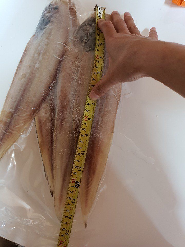 장금이1님의 장터 판매 상품 [왕특대 반건조 박대 5미  마감] 첨부 사진