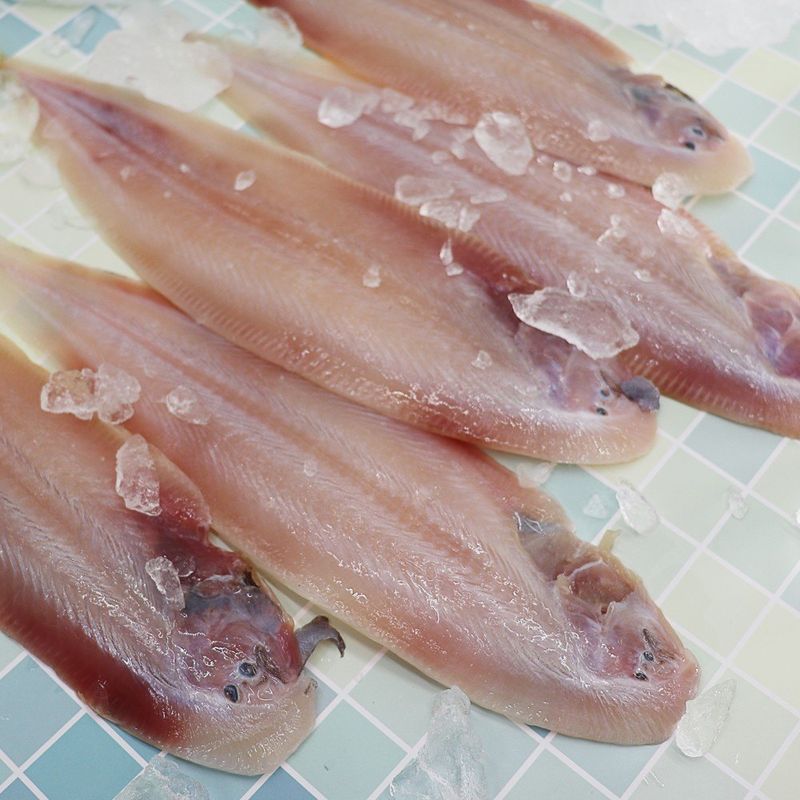 장금이1님의 장터 판매 상품 [왕특대 반건조 박대 5미  마감] 첨부 사진