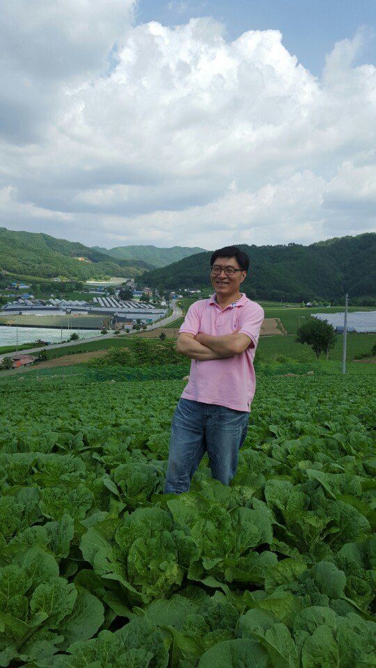 장터 상품 [강원도 고랭지 절임배추 20Kg] 썸네일