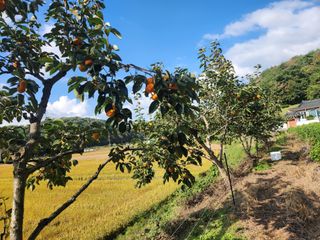 김재현님의 자유주제 · 칭찬해요 작성글 사진