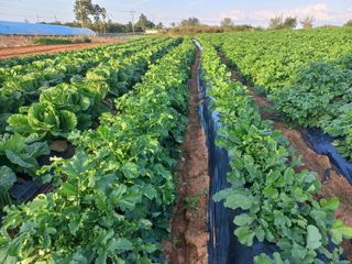 박린님의 자유주제 · 자유게시판 작성글 사진