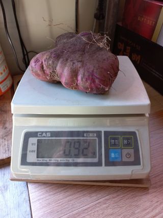 심무재 님의 자유주제 · 자유게시판 작성글 사진