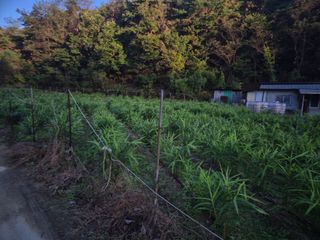 박무순님의 작성글 사진