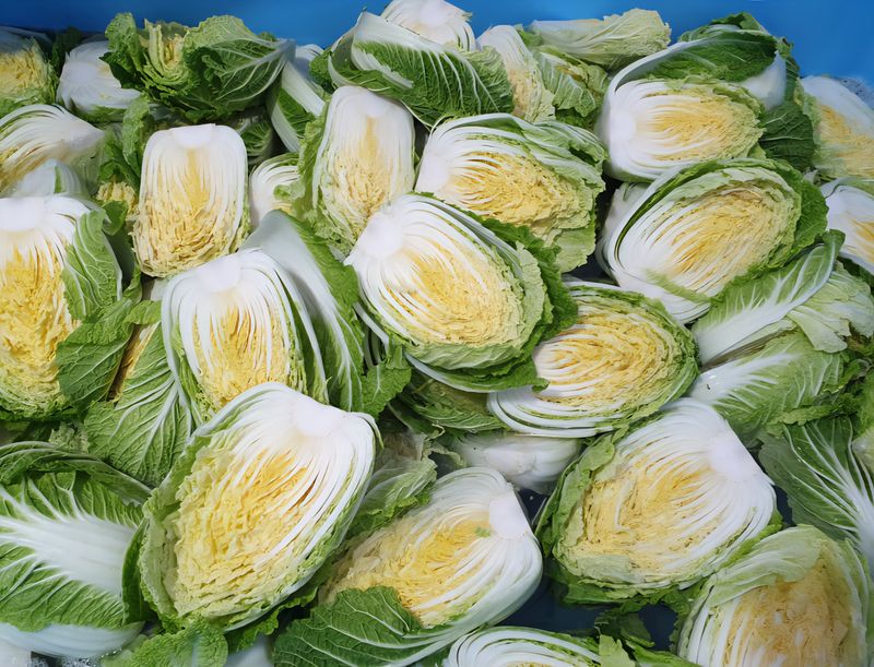 홍천산채농원님의 장터 판매 상품 [강원도 고랭지 절임배추 20Kg] 첨부 사진