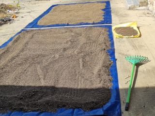 안평식님의 자유주제 · 건의해요 작성글 사진