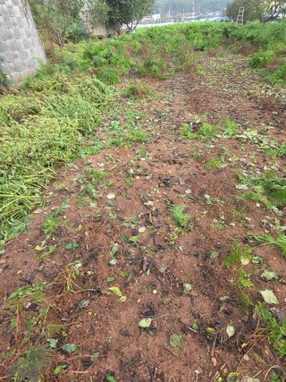 매미농장님의 자유주제 · 자유게시판 작성글 사진