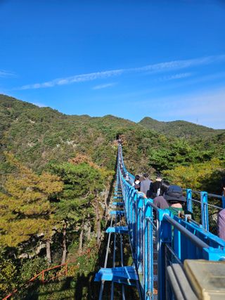 제주 지안이네농장님의 자유주제 · 자유게시판 작성글 사진