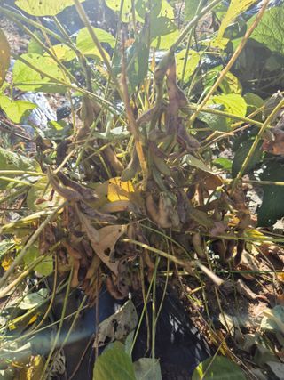 김연숙님의 자유주제 · 자유게시판 작성글 사진