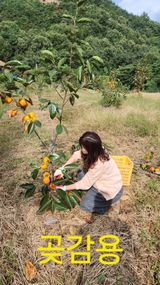 팜모닝 · 게시글 이미지