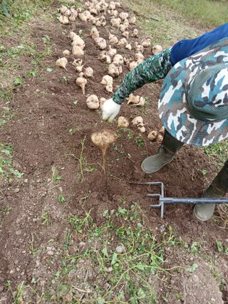 유석범님의 작성글 사진