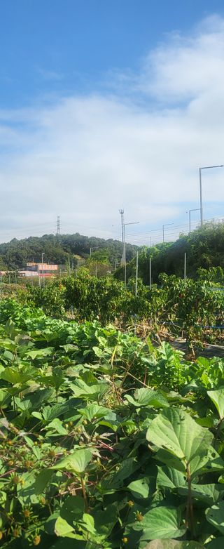 장경화님의 자유주제 · 사진전 작성글 사진