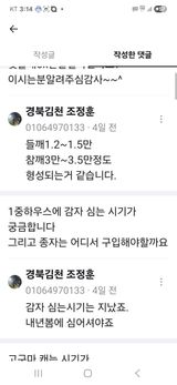 팜모닝 자유주제·자유게시판 게시글 이미지