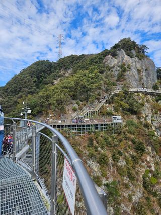 제주 지안이네농장님의 자유주제 · 자유게시판 작성글 사진