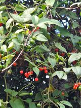 팜모닝 자유주제·자유게시판 게시글 이미지