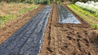 정인재님의 자유주제 · 자유게시판 작성글 사진