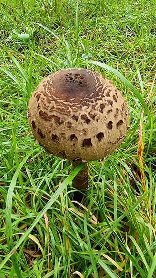 권혁렬님의 자유주제 · 자유게시판 작성글 사진