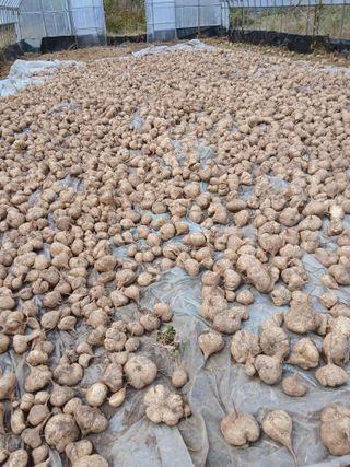 유석범님의 작성글 사진