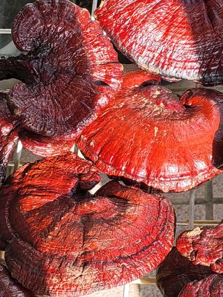 오귀연님의 작성글 사진