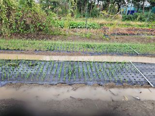 상추10383님의 자유주제 · 자유게시판 작성글 사진