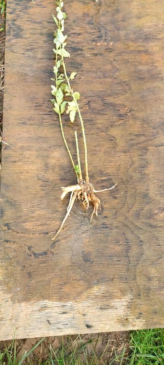 남서울님의 자유주제 · 자유게시판 작성글 사진