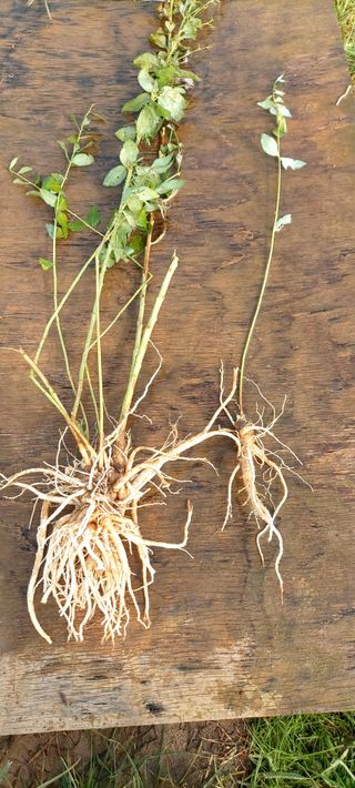 남서울님의 자유주제 · 자유게시판 작성글 사진