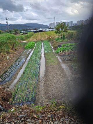 상추10383님의 자유주제 · 자유게시판 작성글 사진
