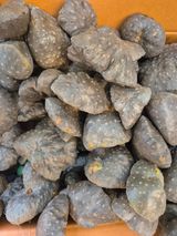 팜모닝 · 게시글 이미지