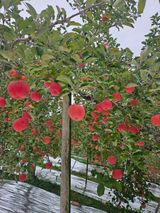 팜모닝 자유주제·자유게시판 게시글 이미지