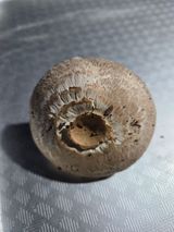 팜모닝 자유주제·자유게시판 게시글 이미지