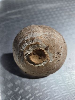 수달이님의 자유주제 · 자유게시판 작성글 사진