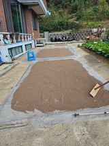 팜모닝 자유주제·자유게시판 게시글 이미지