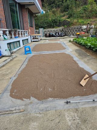 충남공주이도은님의 자유주제 · 자유게시판 작성글 사진