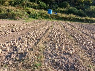 유석범님의 작성글 사진