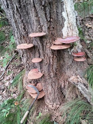 오귀연님의 작성글 사진