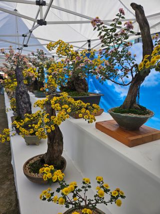 제주 지안이네농장님의 자유주제 · 자유게시판 작성글 사진