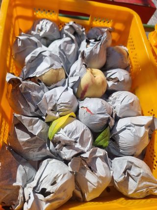 정영기대산축산농부♡님의 자유주제 · 자유게시판 작성글 사진