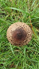 팜모닝 자유주제·자유게시판 게시글 이미지