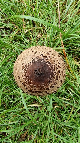 권혁렬님의 자유주제 · 자유게시판 작성글 사진