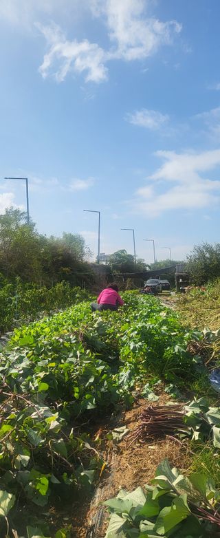 장경화님의 자유주제 · 사진전 작성글 사진