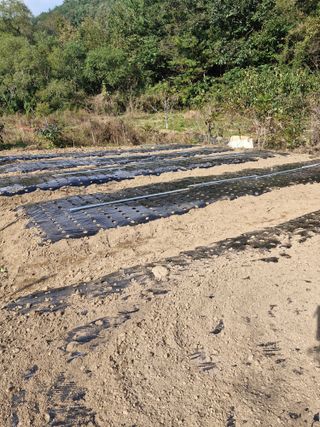 낙엽교목류21691님의 자유주제 · 자유게시판 작성글 사진