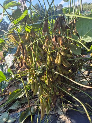 김연숙님의 자유주제 · 자유게시판 작성글 사진