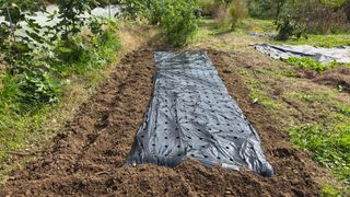 정인재님의 자유주제 · 자유게시판 작성글 사진