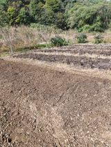 팜모닝 자유주제·자유게시판 게시글 이미지