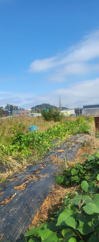 장경화님의 자유주제 · 사진전 작성글 사진