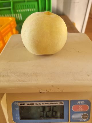 정영기대산축산농부♡님의 자유주제 · 자유게시판 작성글 사진